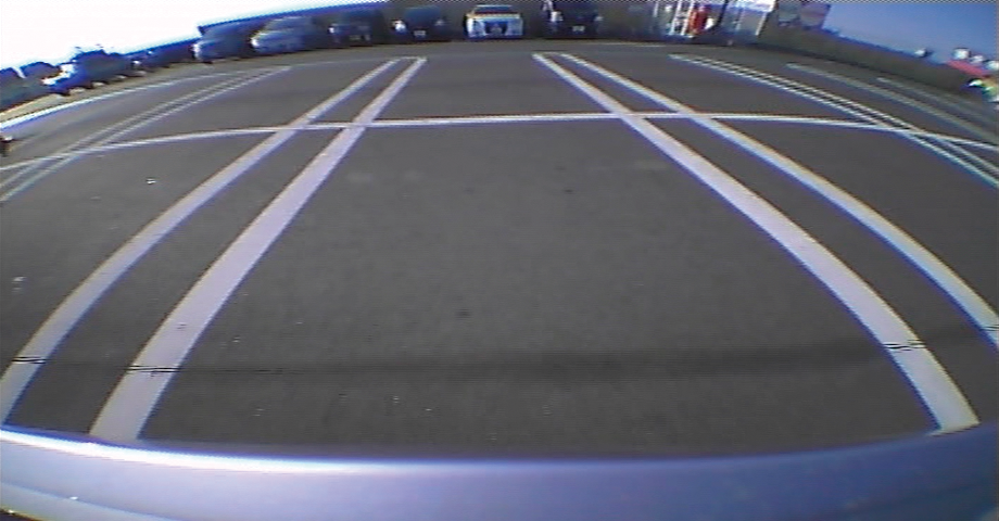 Rear View Camera Input